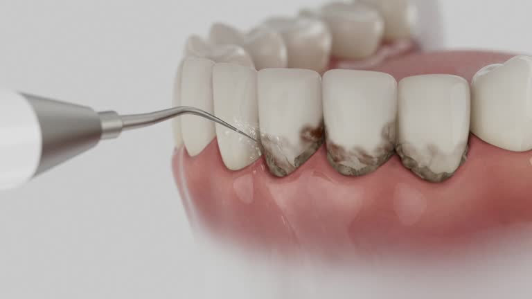 Reliable Dental contractor in Wibaux County County, MT by Dentist Open Now